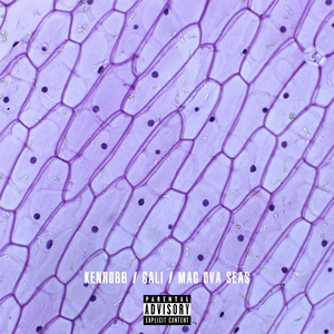 表妹洗澡让我进去摸她照片
