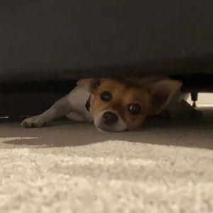 表妹洗澡让我进去摸她照片
