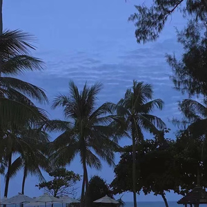 表妹洗澡让我进去摸她照片
